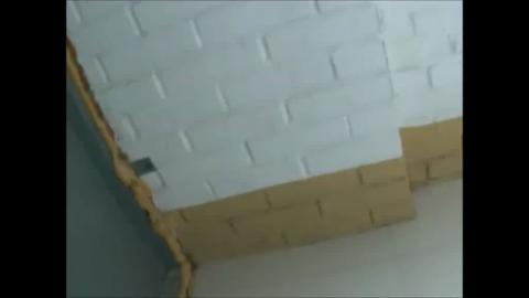 33868