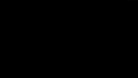13058