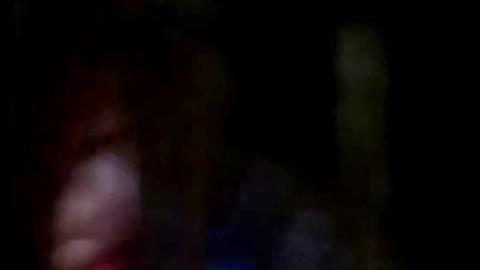 41236
